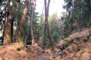 Foto 27 / 32